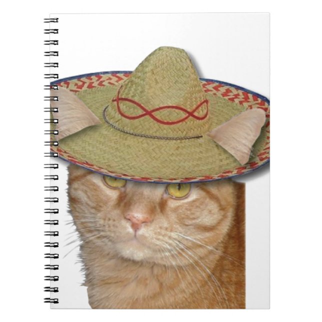 Caderno Espiral Cinco de Gato (Frente)