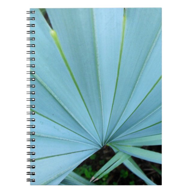 Caderno Espiral Cinza Bismarck Palm Tree Close (Frente)