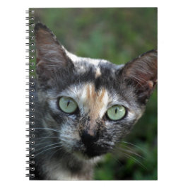 Caderno Espiral Cinza de Gato Branco Castanho com Olhos Verdes