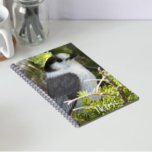 Caderno Espiral Cinza e White Canada Jay Photo