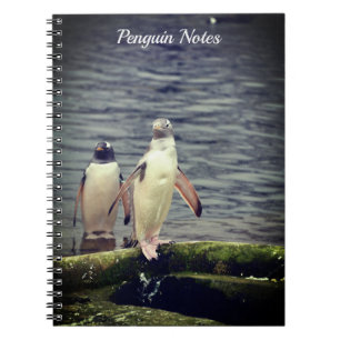 Caderno Espiral Cinza Gentoo Penguin Edinburgh Zoo Scotland