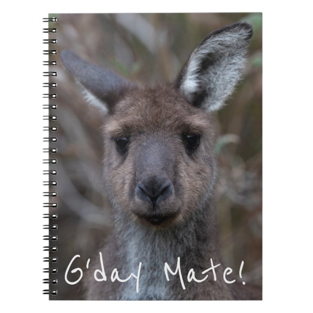 Caderno Espiral Cinza Ocidental Kangaroo Austrália (Frente)