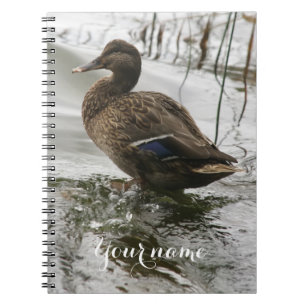 Caderno Espiral Cinza se abaixa no lago escuro