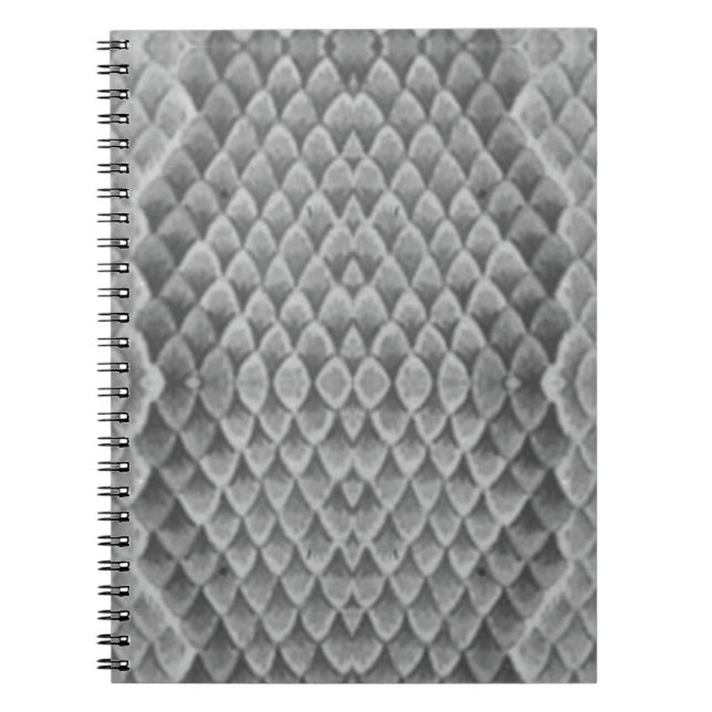 Caderno Espiral Cinza Snakeskin (Frente)