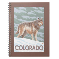 Cinza Wolf WaitColorado