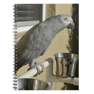 Caderno Espiral Cinzas Africanas do Congo Elegante em Apoio