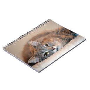 Caderno Espiral Cinzas, Tan, gato de cabelos compridos branco por