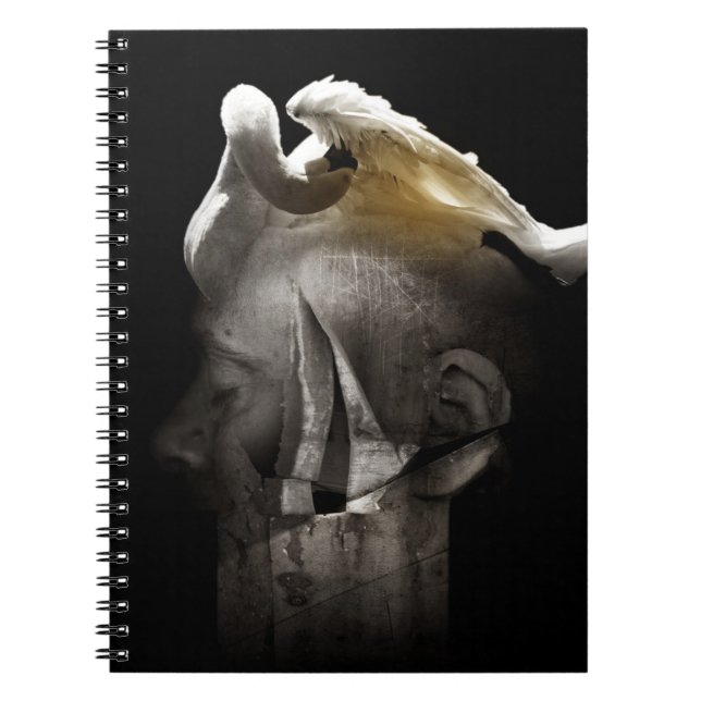 Caderno Espiral Cisne 2013 (Frente)