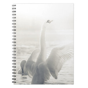 Caderno Espiral Cisne Branco
