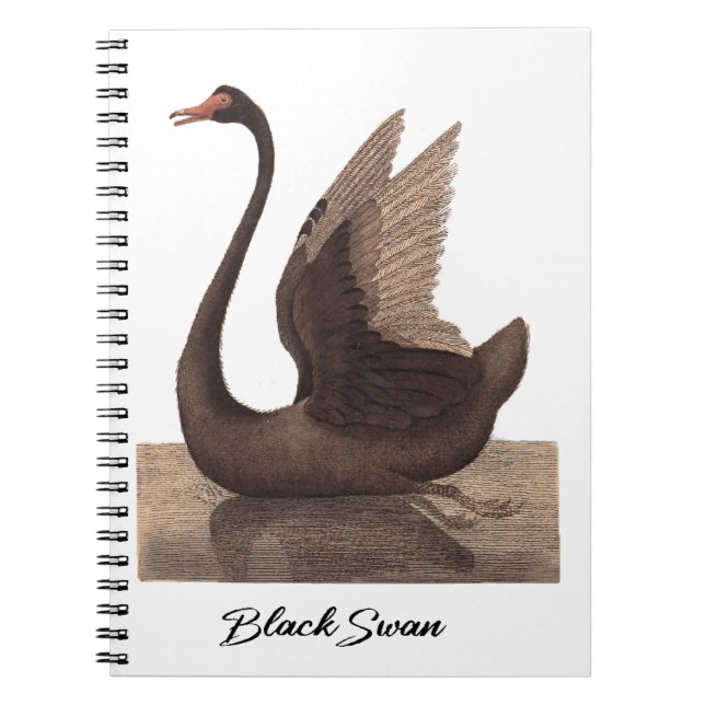 Caderno Espiral Cisne Negro 1792 (Frente)