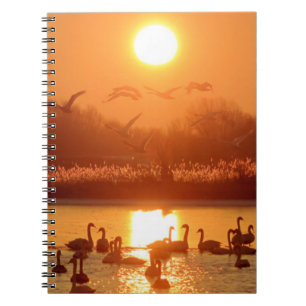 Caderno Espiral Cisnes no lago de Sunset