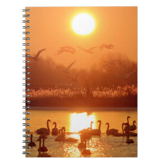 Caderno Espiral Cisnes no lago de Sunset