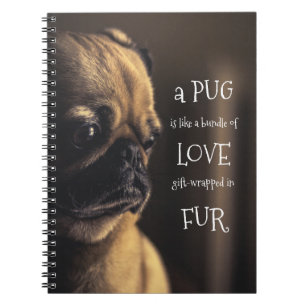 Caderno Espiral Citação de Pug de Folha Bonita - Um Pug é Um Pacot