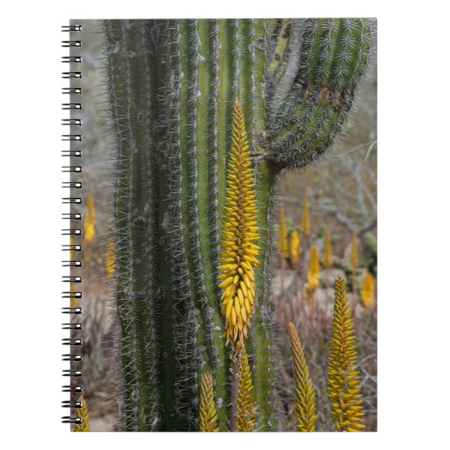 Caderno Espiral Close de Cacto e Agave (Frente)