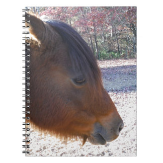 Caderno Espiral Close de cavalo marrom, pequeno pônei marrom