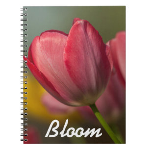 Caderno Espiral Close-up de tulipas vermelhas e amarelas no jardim