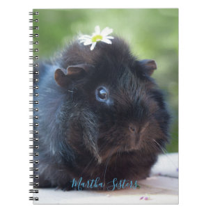Caderno Espiral Cobaia personalizada de //com uma margarida
