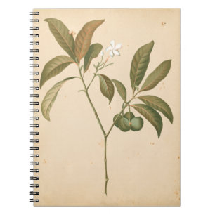 Caderno Espiral Cobalt Deco Painel I