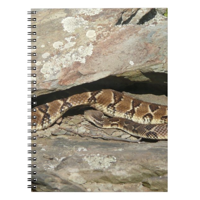 Caderno Espiral Cobra cascavel no Parque Nacional Shenandoah (Frente)