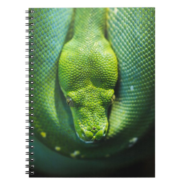 CADERNO ESPIRAL COBRA VERDE (Frente)