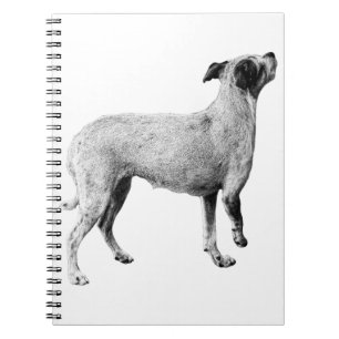 Caderno Espiral "cobrir de telefone de cão" "maleta de mono macio"