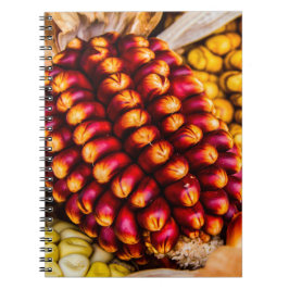 Caderno Espiral Cobs de milho