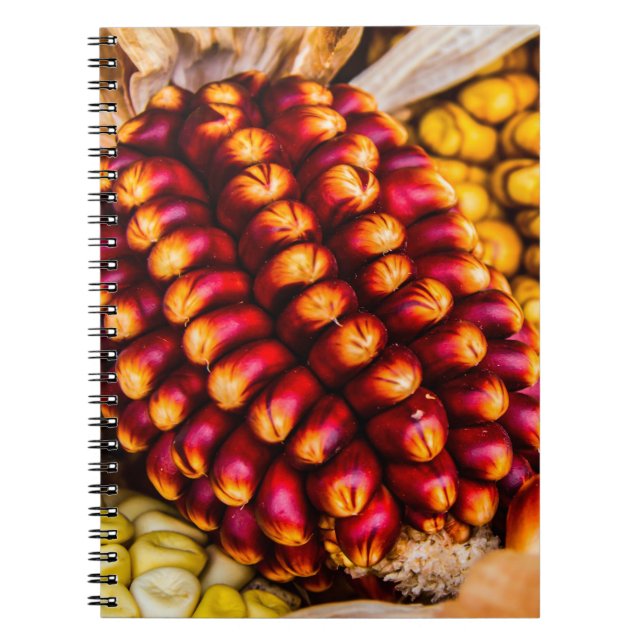 Caderno Espiral Cobs de milho (Frente)