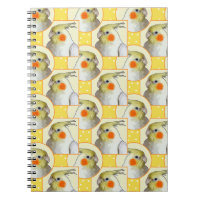 Cockatiel Yellow White Pattern Pet Bird School
