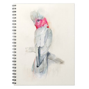 Caderno Espiral Cockato de Ópera de Aquarela