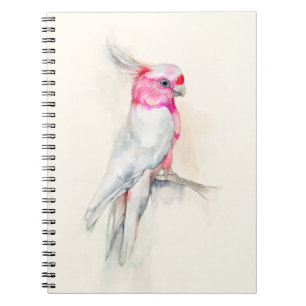 Caderno Espiral Cockatoo