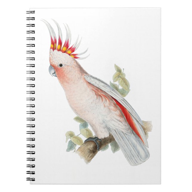 Caderno Espiral Cockatoo Vintage Art (Frente)