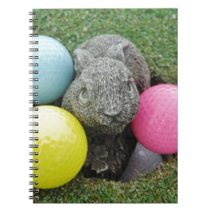 Caderno Espiral Coelho com ovo azul-rosa