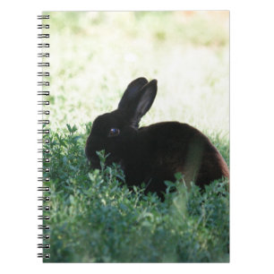 Caderno Espiral Coelho preto de Lil