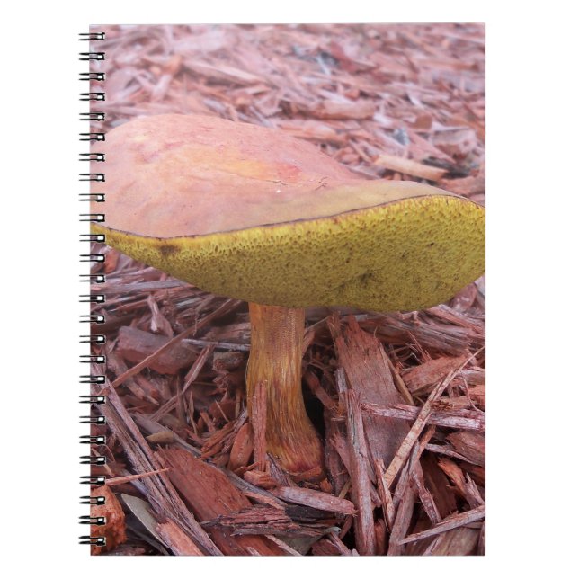 Caderno Espiral Cogumelo Boleto com Lamelas (Frente)