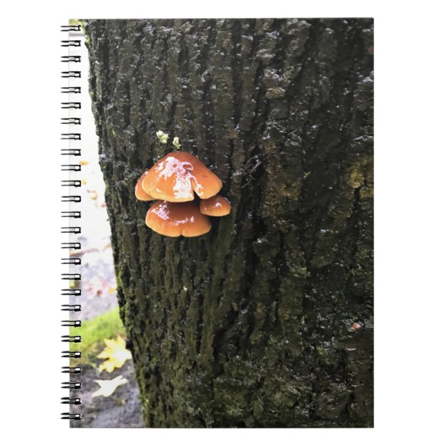 Caderno Espiral Cogumelos em uma árvore, Oregon (Frente)