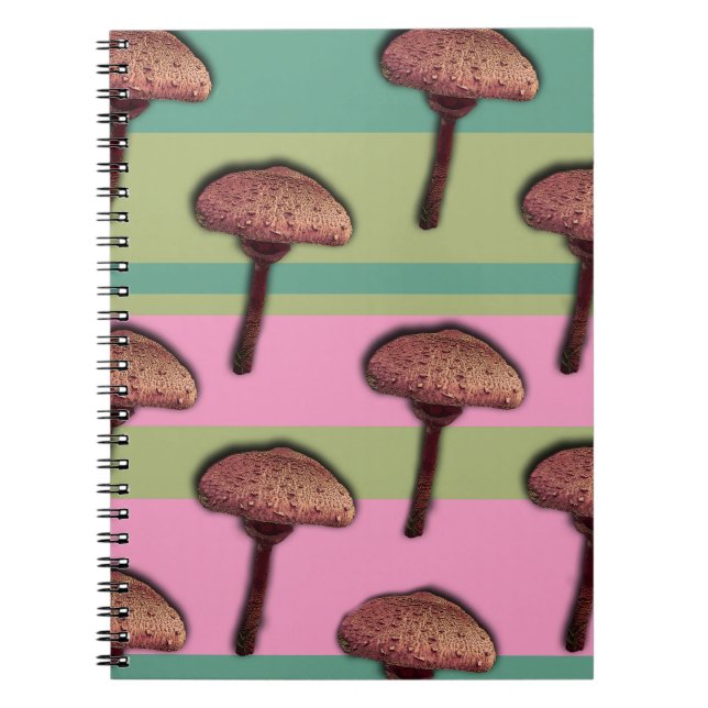 Caderno espiral cogumelos & listrasok (Frente)