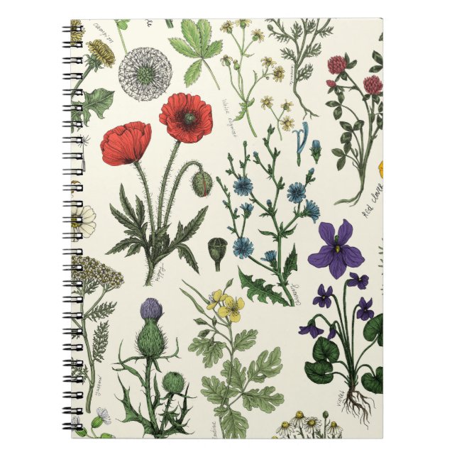 Caderno Espiral Colagem de flores silvestres (Frente)