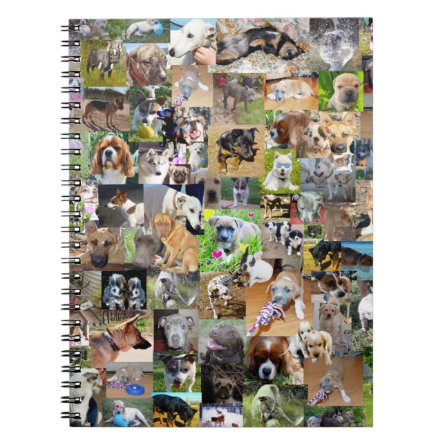 Caderno Espiral Colagem de Fotos de Cachorros, (Frente)
