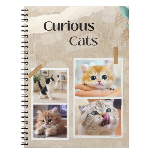 Caderno Espiral Colagem de Gatos Curiosos (Frente)