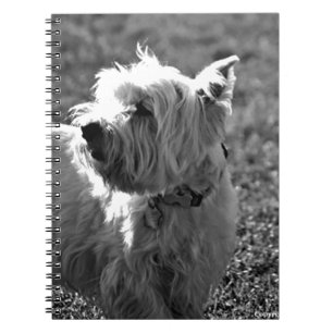 Caderno Espiral Coleção adorável de Westie Terrier