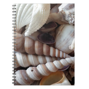 Caderno Espiral Coleção de Conchas Exóticas, Summer Beach