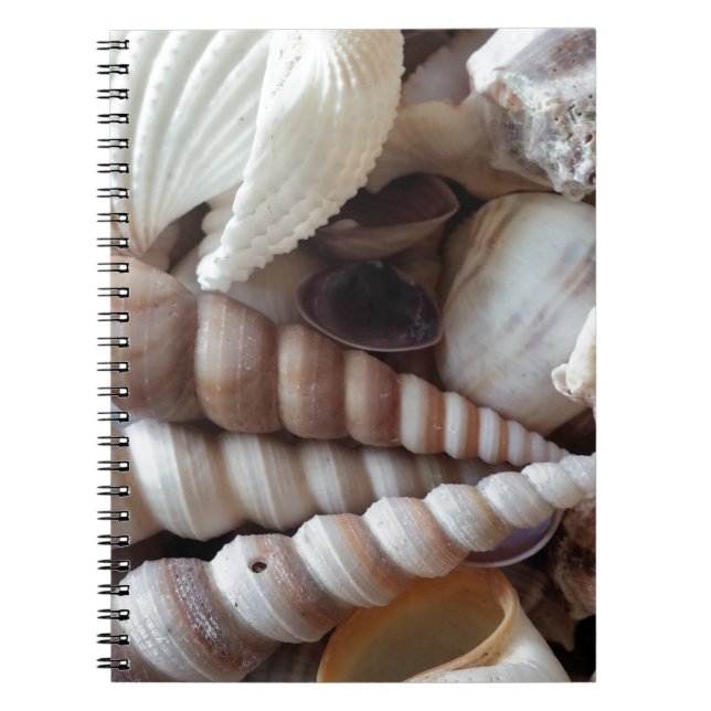Caderno Espiral Coleção de Conchas Exóticas, Summer Beach (Frente)