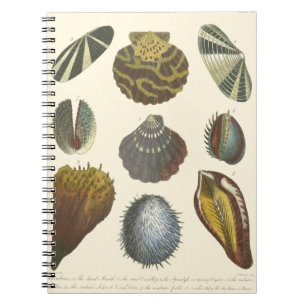 Caderno Espiral Coleção de Conchologia