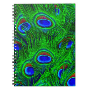 Caderno Espiral Coleção de Moda de Penas de Peacock