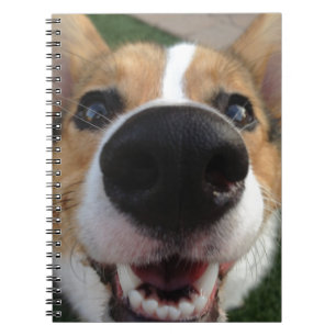 Caderno Espiral Coleção do nariz de cão do Corgi de Galês