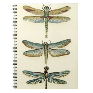 Caderno Espiral Coleção Dragonfly por Chariklia Zarris