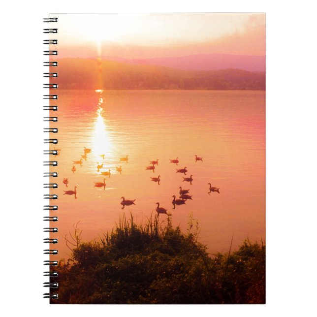 Caderno Espiral Coletor solar rosa e pêssego (Frente)