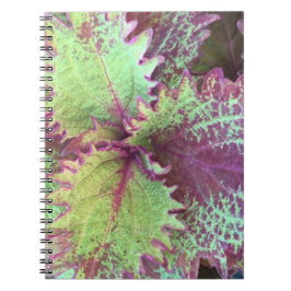 Caderno Espiral Coleus