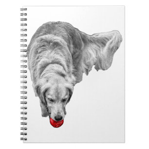 Caderno Espiral Colheita de Reflexões de Ember