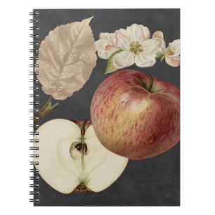 Caderno Espiral Colheita II
